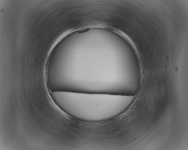 X0000087541243200704270916