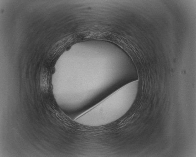 X0000087541250200704270915
