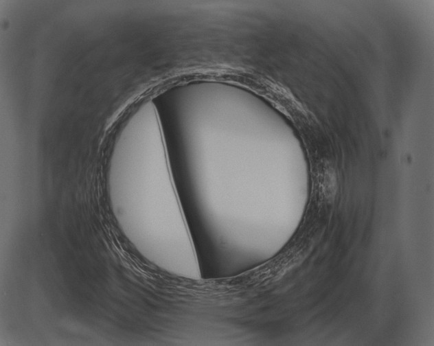 X0000087541256200704270915