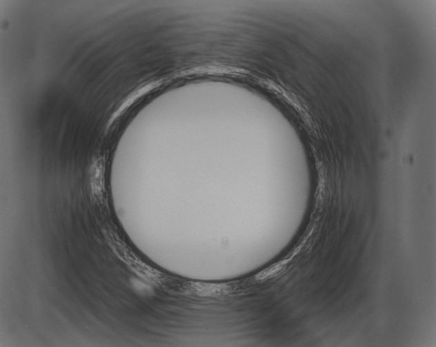 X0000087541258200704270915