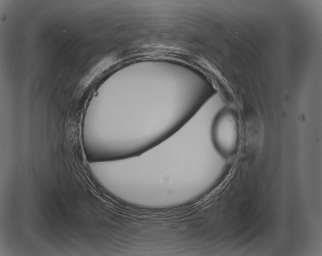 X0000087541259200704270915