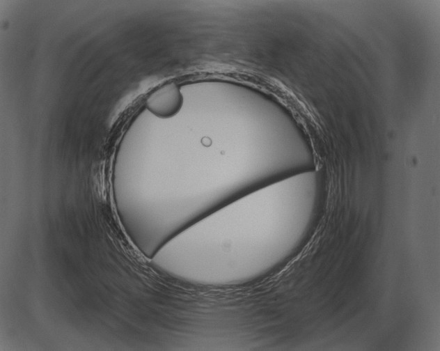 X0000087541262200704270915