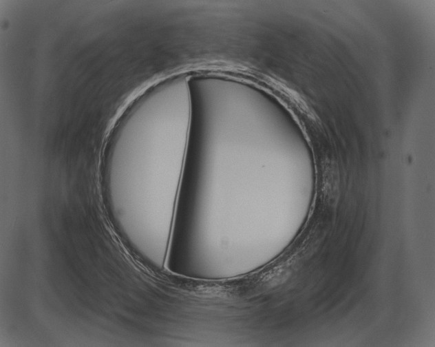 X0000087541264200704270915
