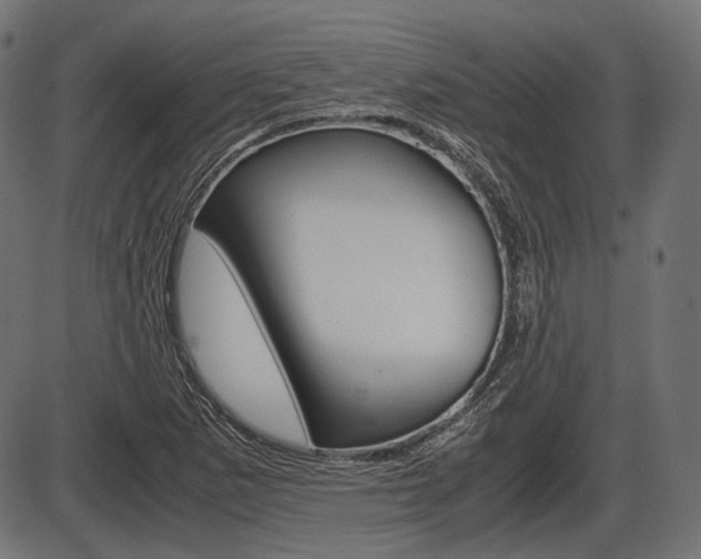 X0000087541265200704270915