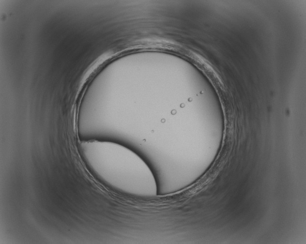 X0000087541275200704270915
