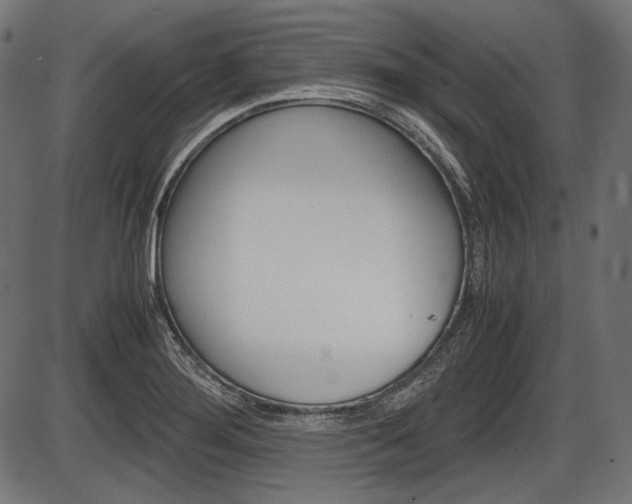 X0000087541276200704270915