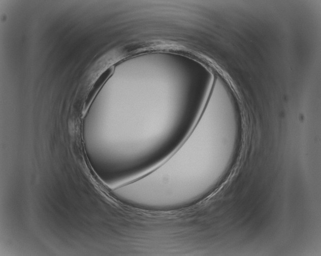 X0000087541281200704270914