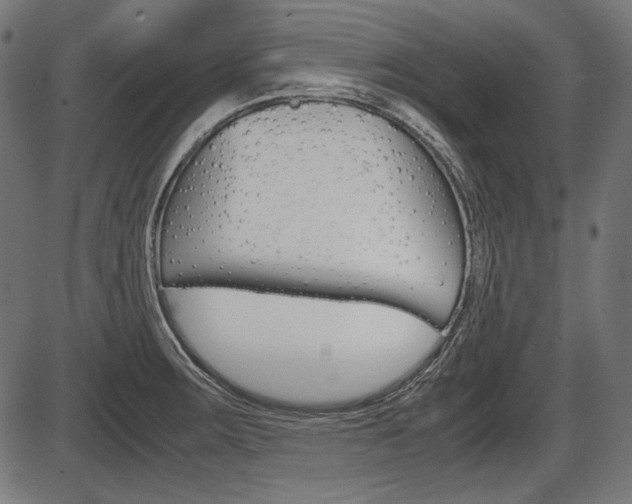 X0000087541283200704270914