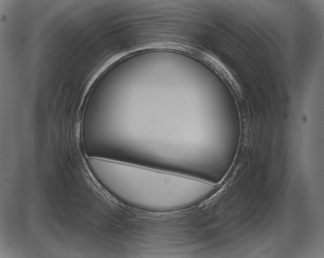 X0000087541284200704270914