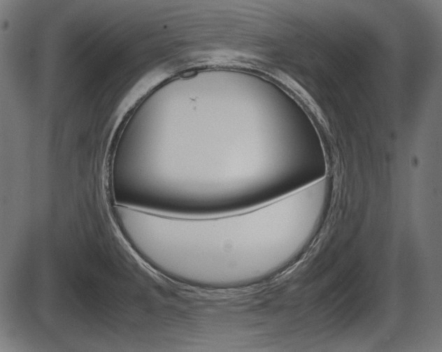 X0000087541285200704270914