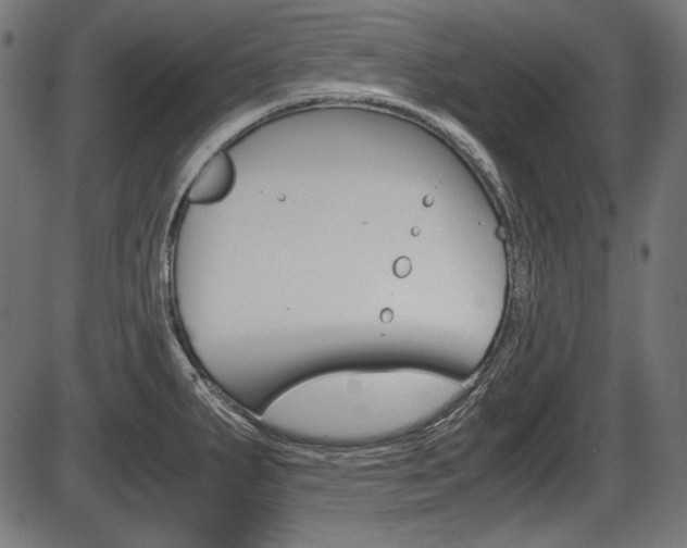 X0000087541287200704270914
