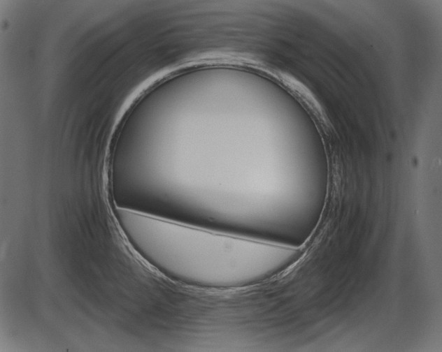 X0000087541288200704270914