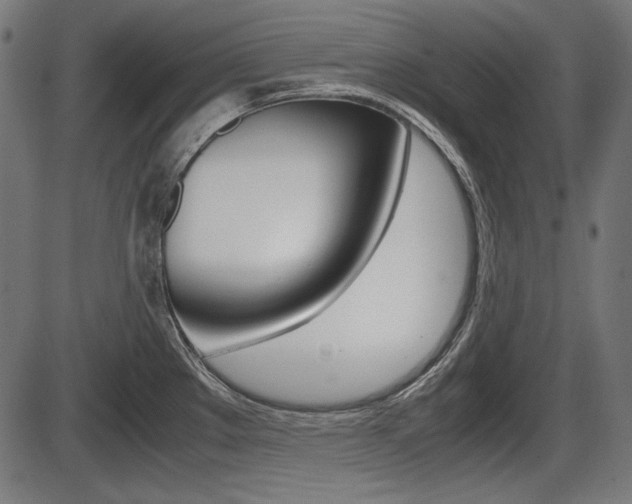 X0000087541289200704270914