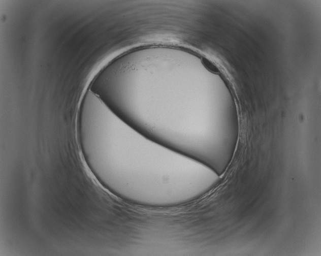 X0000087541295200704270914