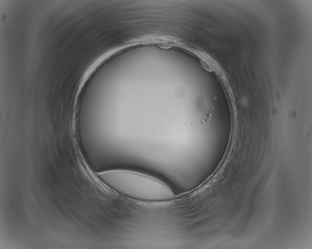 X0000087541296200704270914