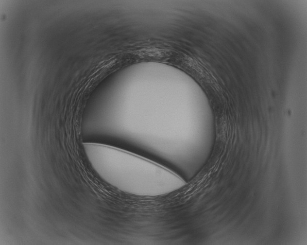X0000087541297200704270913