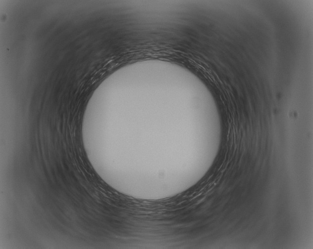 X0000087541298200704270913
