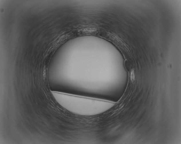 X0000087541299200704270913