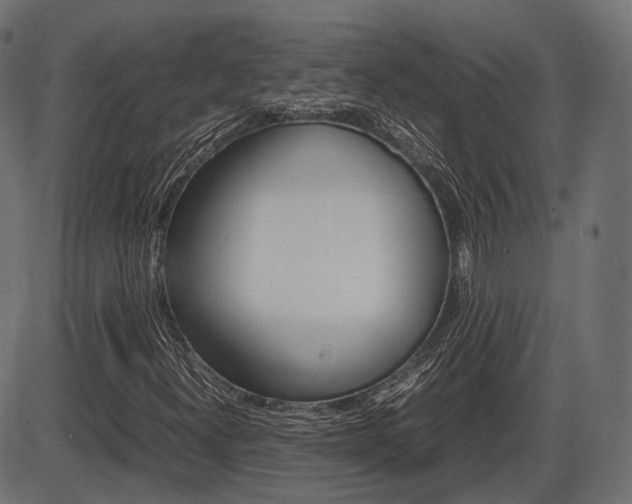 X0000087541300200704270913
