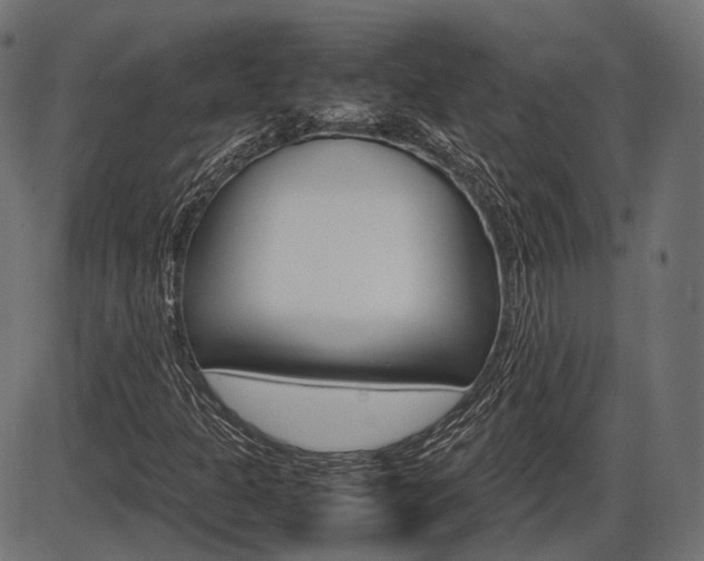 X0000087541301200704270913