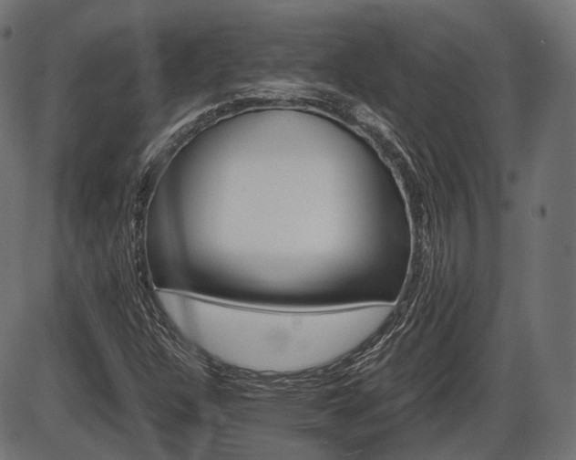 X0000087541304200704270914