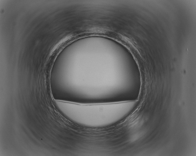 X0000087541307200704270914