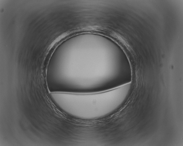 X0000087541308200704270914