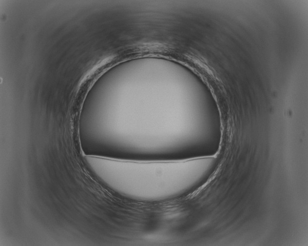 X0000087541309200704270914