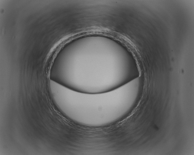X0000087541310200704270914