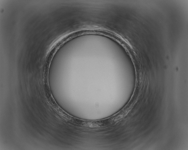 X0000087541311200704270914