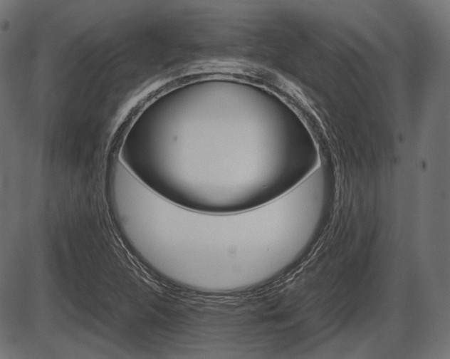 X0000087541312200704270914