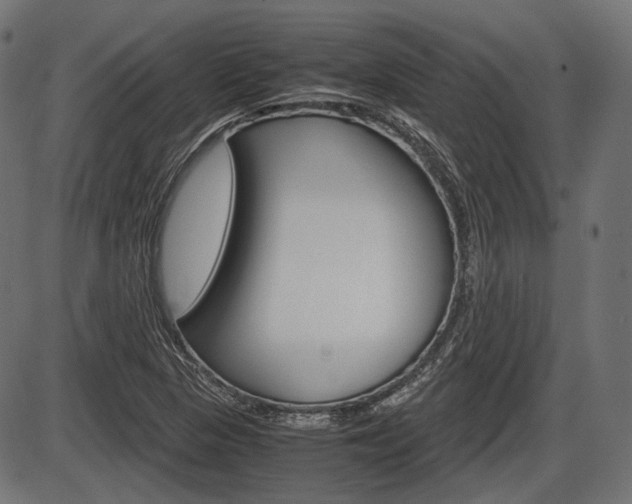 X0000087541313200704270914