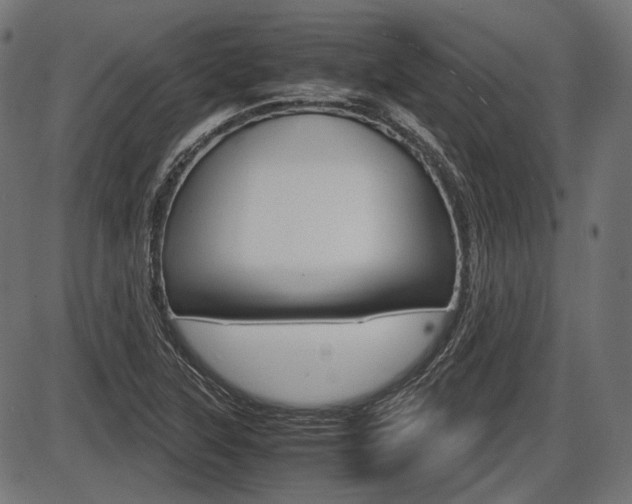 X0000087541315200704270914