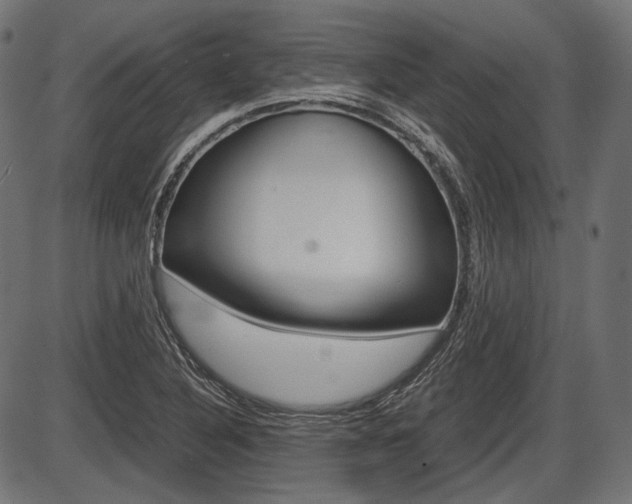 X0000087541316200704270914