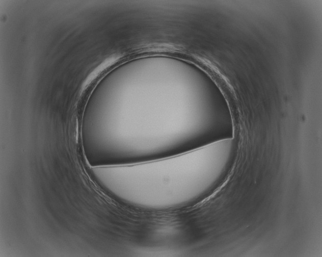 X0000087541317200704270914