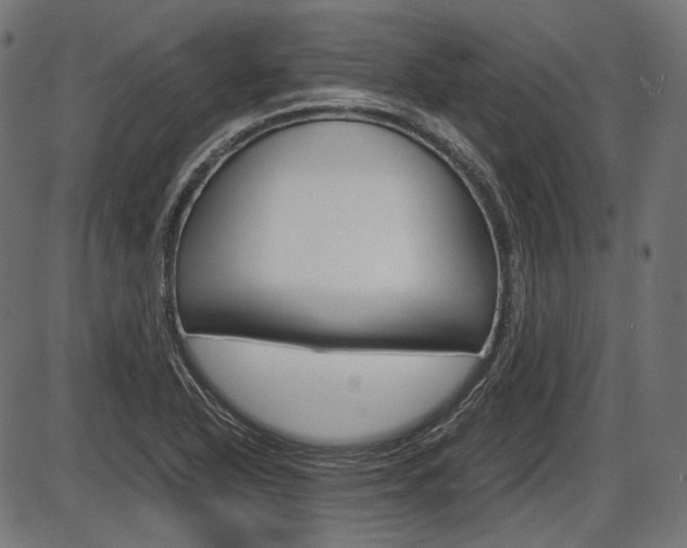 X0000087541318200704270914