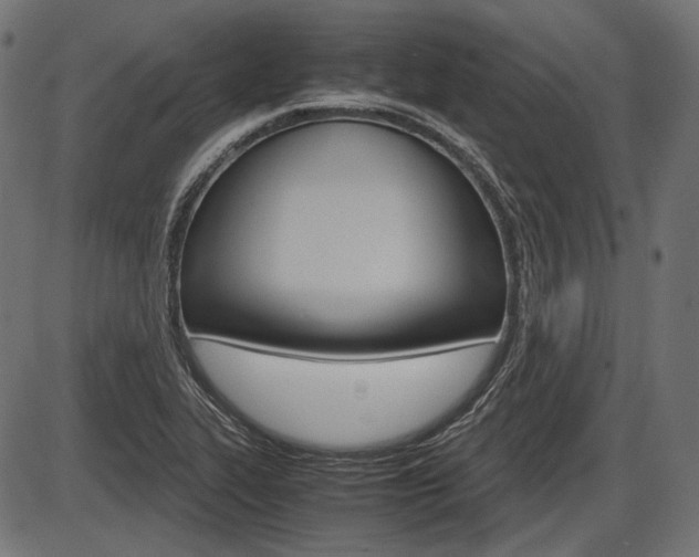 X0000087541319200704270914