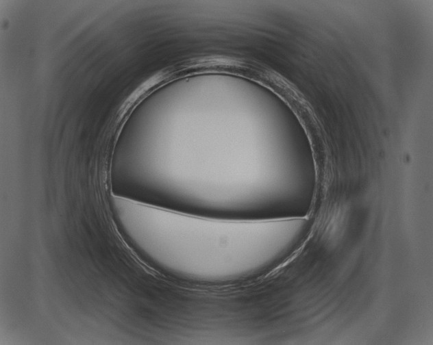 X0000087541321200704270914