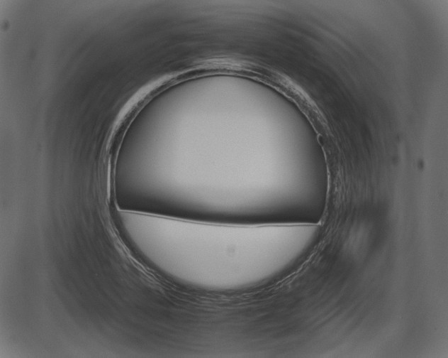 X0000087541323200704270914