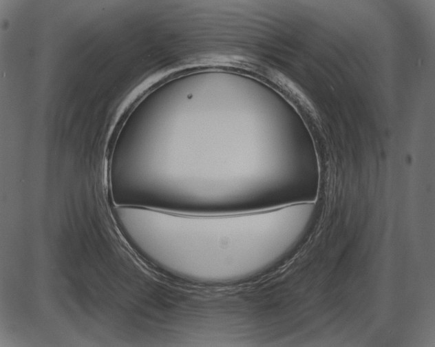 X0000087541324200704270914