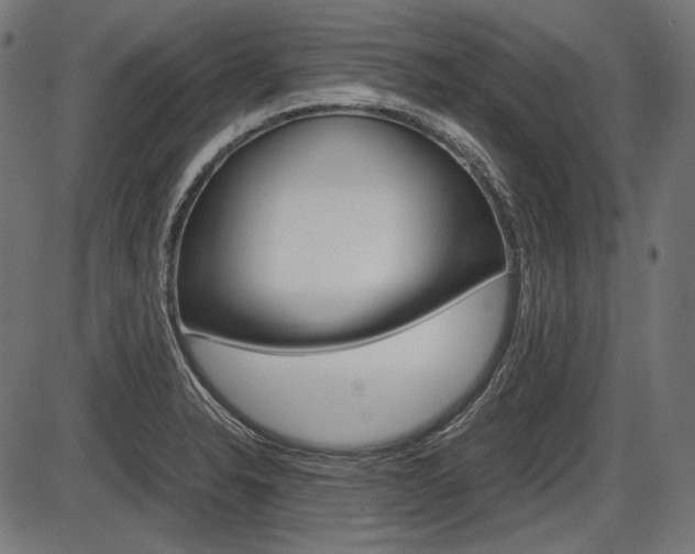 X0000087541326200704270914