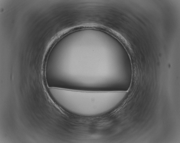 X0000087541327200704270914
