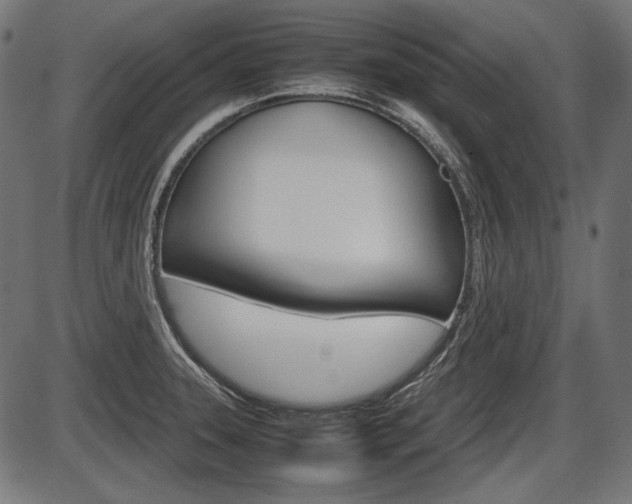 X0000087541331200704270914