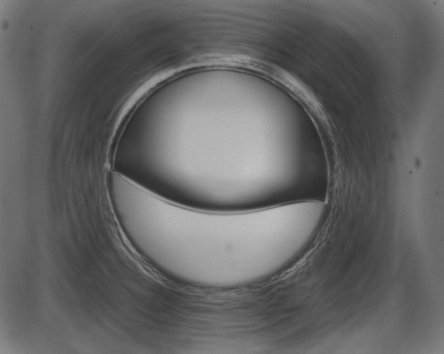 X0000087541332200704270914