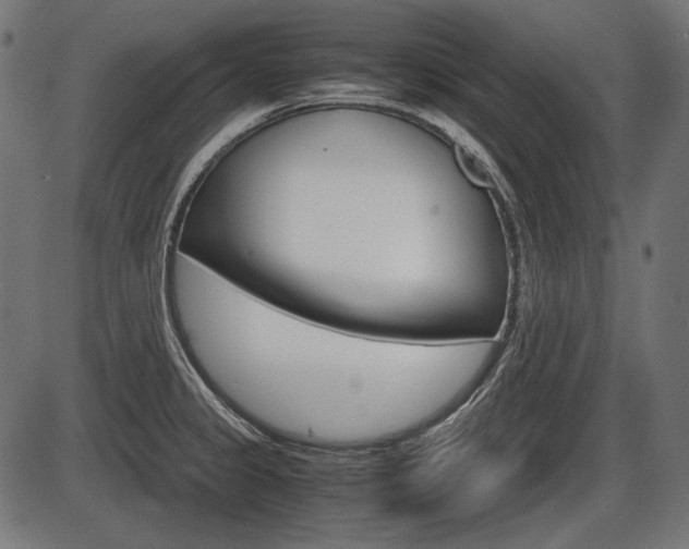 X0000087541333200704270914