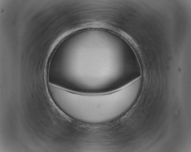 X0000087541334200704270914