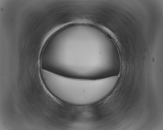 X0000087541335200704270914