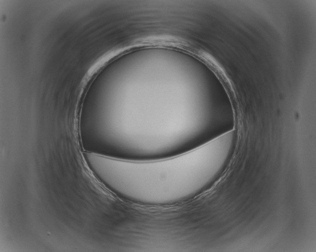 X0000087541336200704270914