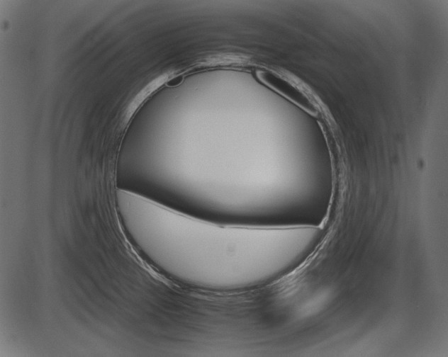 X0000087541337200704270914