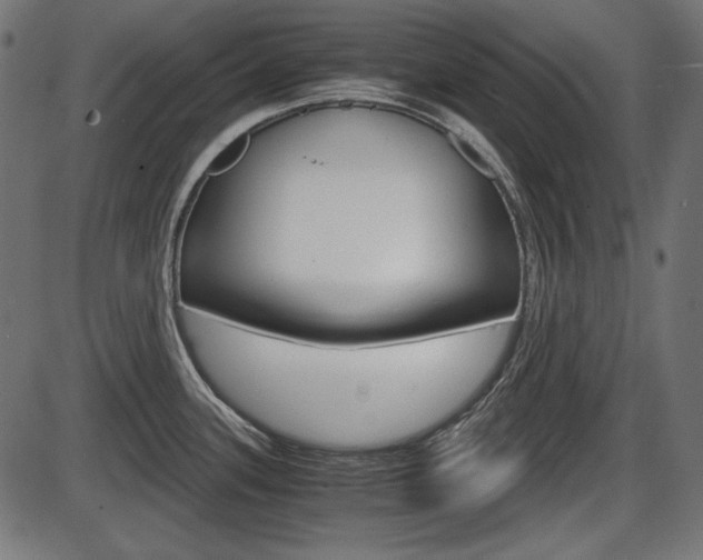 X0000087541339200704270914